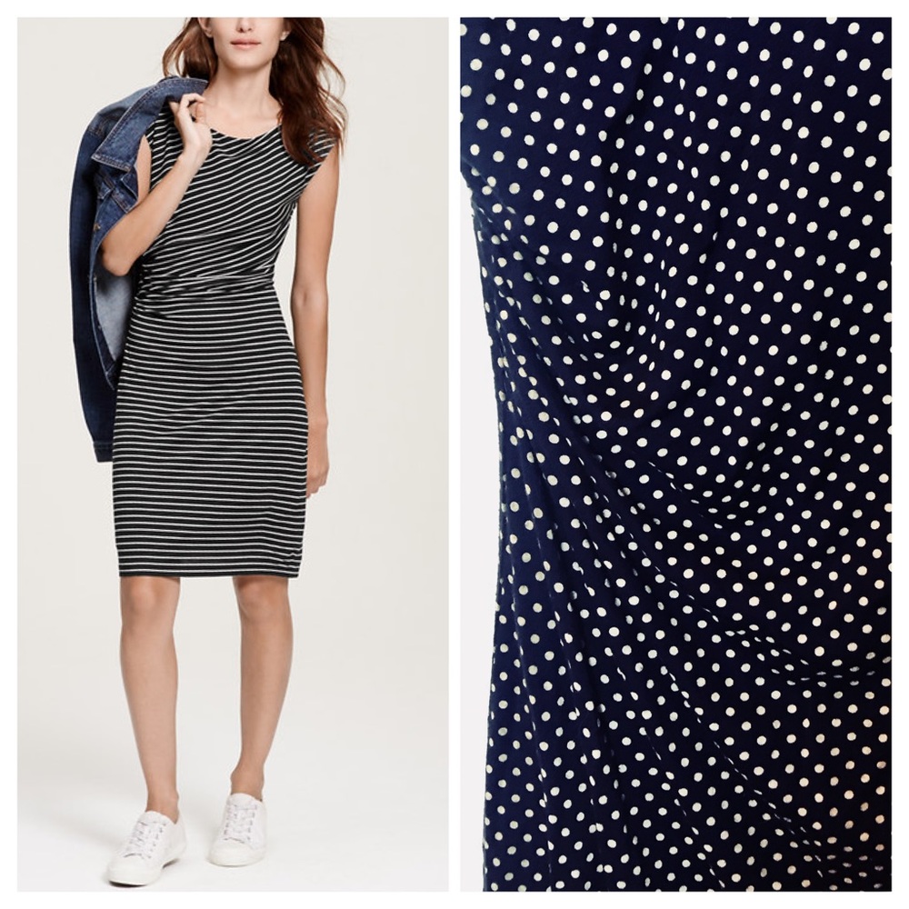 Navy polka dot Ann Taylor LOFT dress